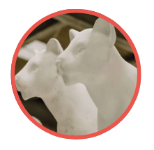 Pride of Yorkshire lions